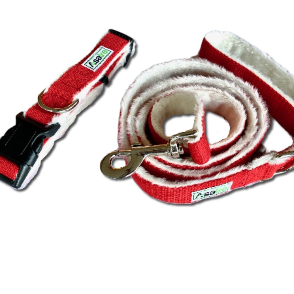 Asatre Hemp Dog Collar and Leash Set (Red)